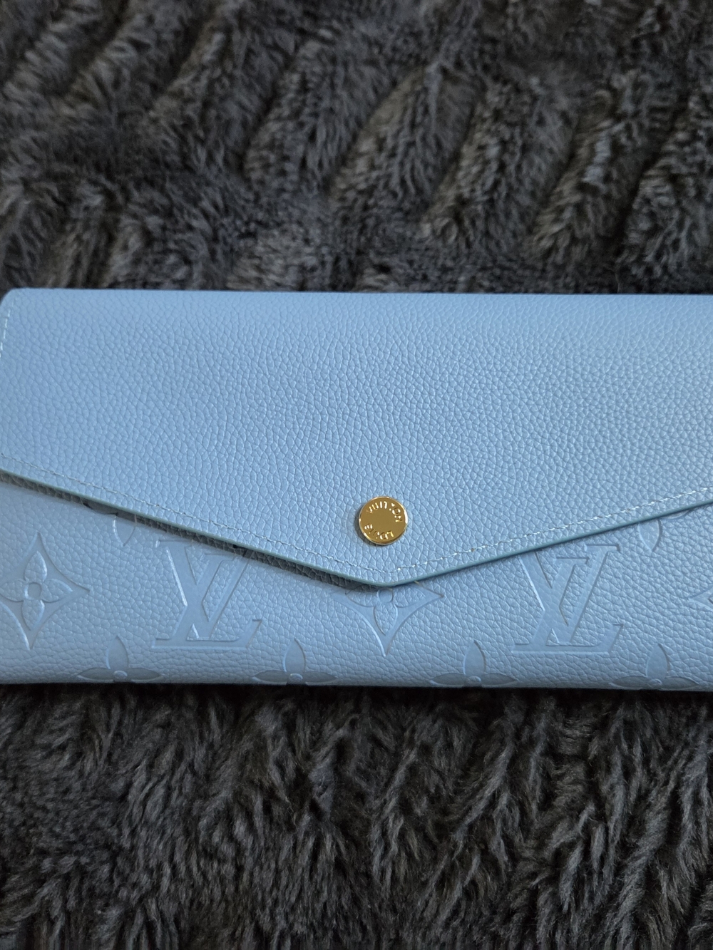 Large Light Blue Monogram Envelope Wallet